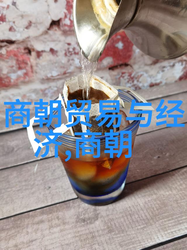 龙凤盛世揭秘明朝的版图变迁