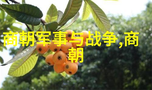 她曾经失去一切但最终又重拾了生活的意义是什么