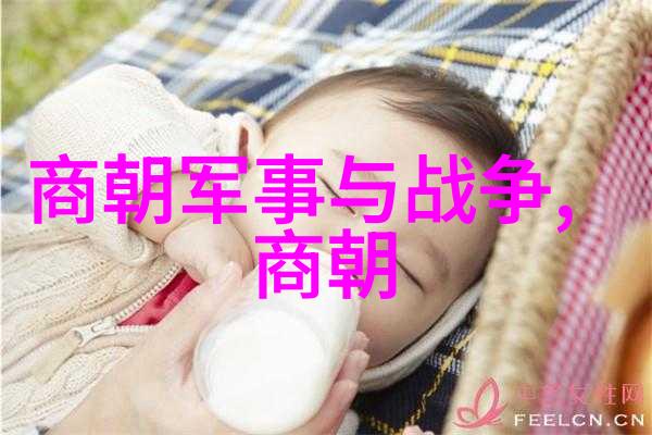 亲贵职官的选拔与任免机制分析