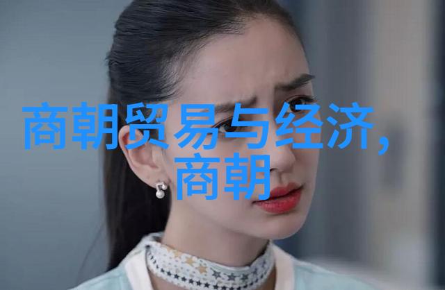 盛宠庶妃-宫廷之巅庶妃的荣耀与坎坷