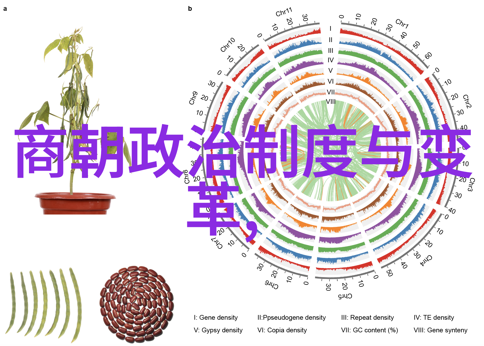 疫情中的逆袭从儿子到老妈的奇妙转变