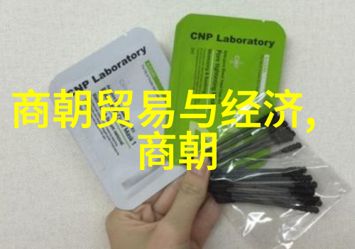 明朝历史视频播放方法我来教你怎么在家里一学就会看那些古老的明朝历史视频