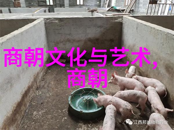 中国历史资料大全50字-探索中华民族的悠久记忆一本通用的历史资源库