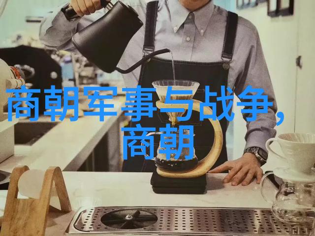 梦想舞台2013我是歌手第一季的无价珍宝