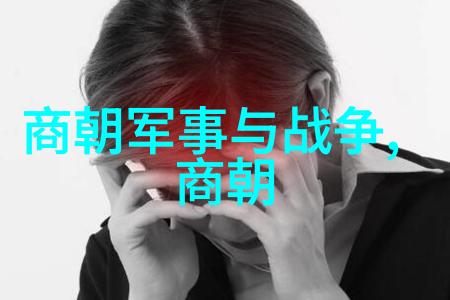 秦桧南宋时期权谋家与政治斗争中的重要人物