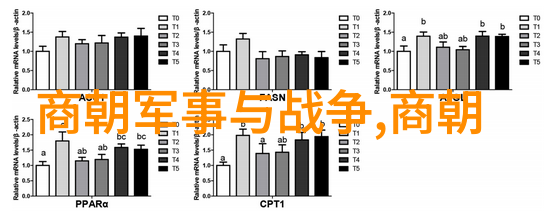 清朝后宫制度我说你知不知道那时候的皇帝后宫里可是有多复杂