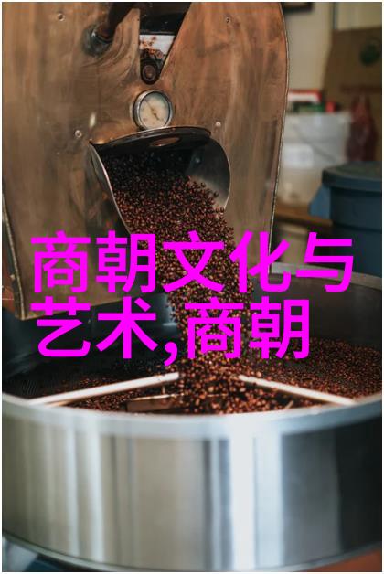 清朝贵族悠闲生活宫廷宴会茶道园林游憩