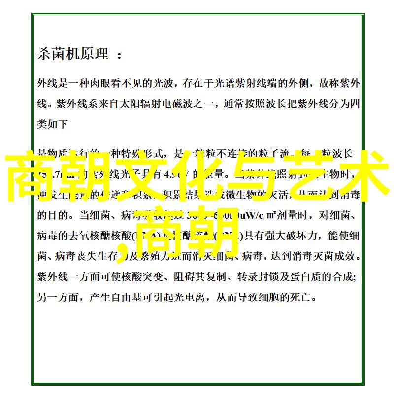 讲中国故事四年级-探索中华民族的宝贵传承四年级学生的中国故事征程