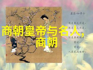 辉煌盛世明朝历代年号的光芒