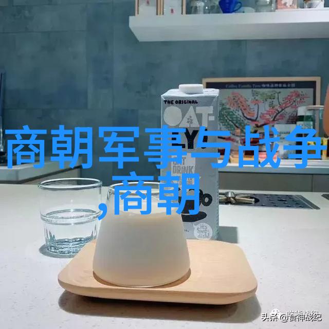 土木堡之变对中国历史的影响我看那场惨败如何重塑了我们的过去