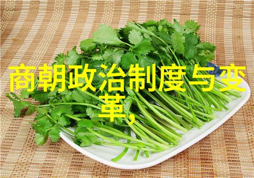 南宋与北宋历史资料探究 文献碑刻与遗存的对比研究