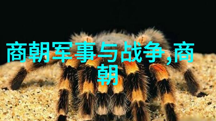 唐语风韵探秘古代官话的艺术魅力