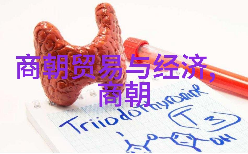 帝影深沉乾隆皇的隐秘遗忘