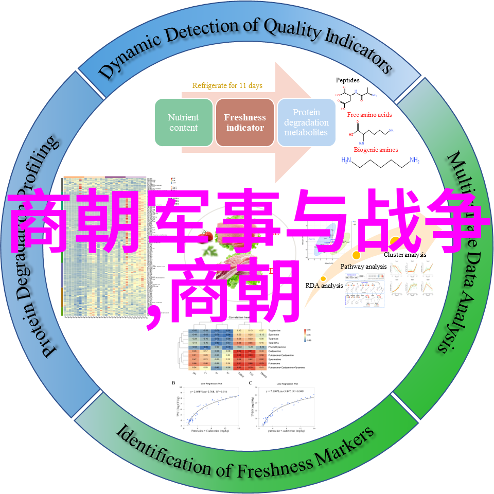 宋朝之寡妇好嫁风情万种的重婚风俗与社会变迁