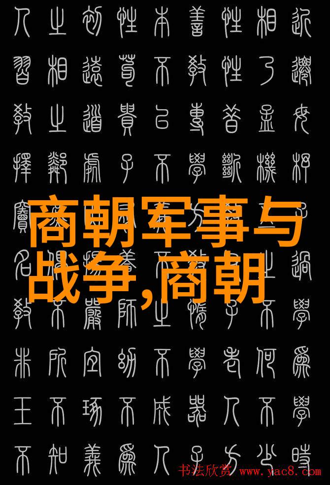 努尔哈赤为何不传位给多尔衮丁汝夔的智谋如同高山远眺历史的洪流明白了这场权力的较量