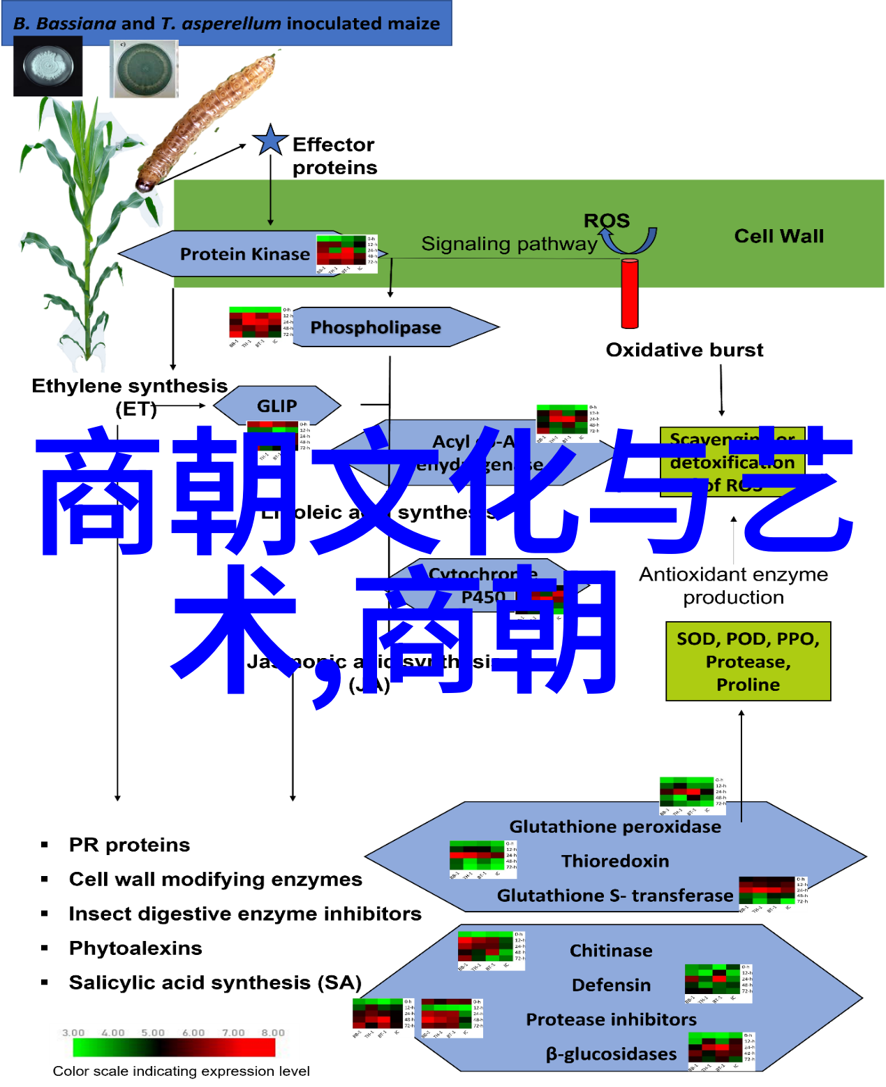 历史故事中的成语宝库探索古代智慧的精华