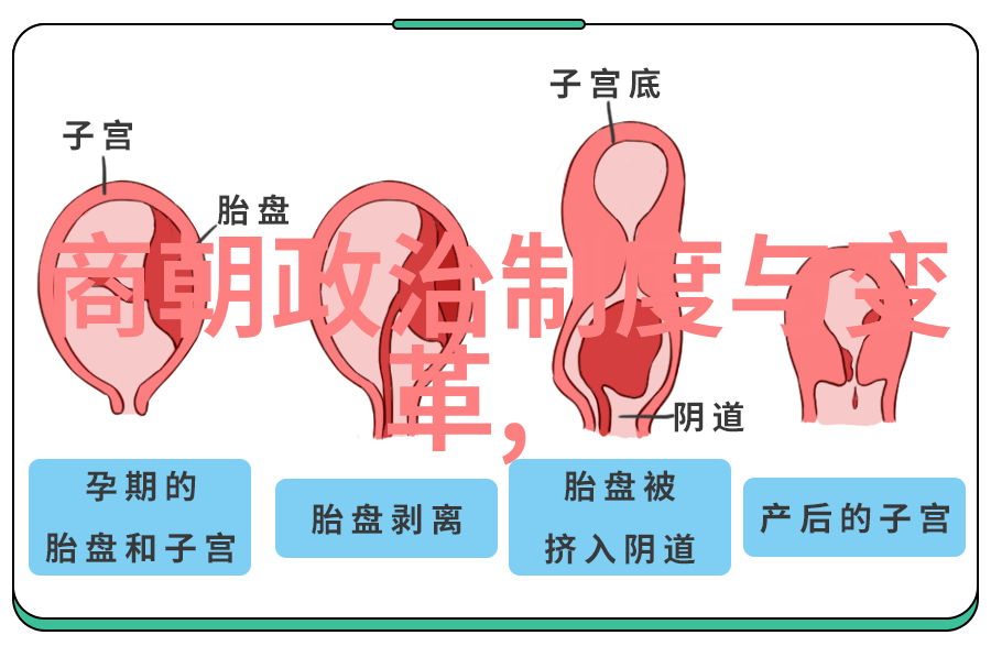 历史谜团-刘伯温真实死因一位明智才子的不朽之谜