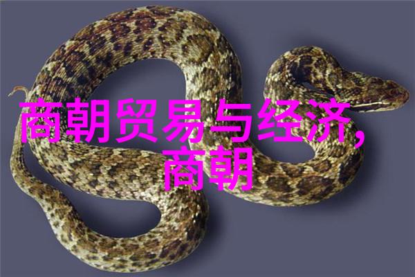 探索人物图片素材的艺术与科技从摄影到数字绘画的创意无限