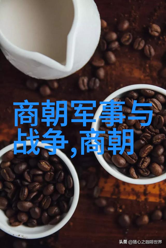 明朝的丑化历史课本中的误导与偏见