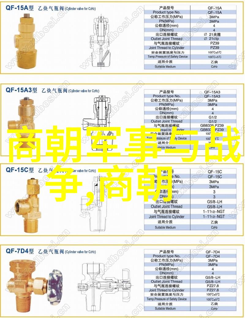 中部战区组织演习展示南海防空能力