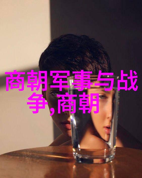 亲缘关系与权力斗争分析明朝各个时期的继任问题