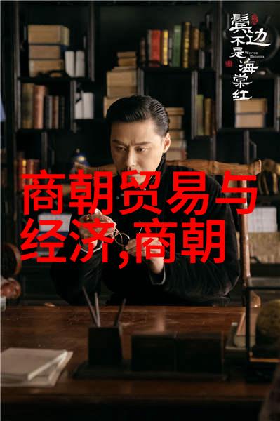 高中历史视频讲解大全集 纪录片我是历史课的超级粉丝揭秘那些让我们惊叹的影像