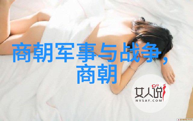 宋代杰出的书法家与官员赵宗全的艺术与政治交融