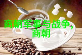 明朝历史讲解视频揭秘龙凤盛世的兴衰变迁