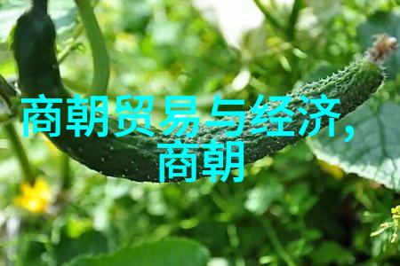 穿越时空的使者讲述历史故事人物的传奇400字