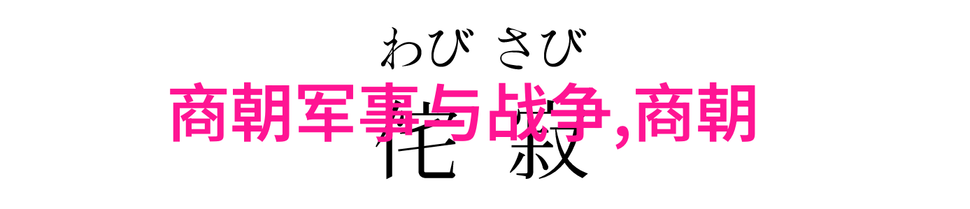 北周 隋朝 - 从北周到隋朝中原王朝的转型与复兴