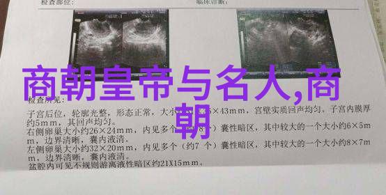 宋朝一览表的艺术与实用价值