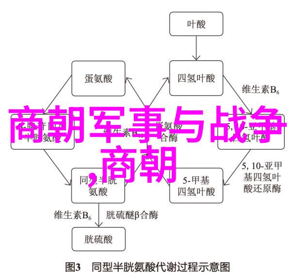 辽阔帝国的覆灭探究元朝衰败背后的历史深层原因