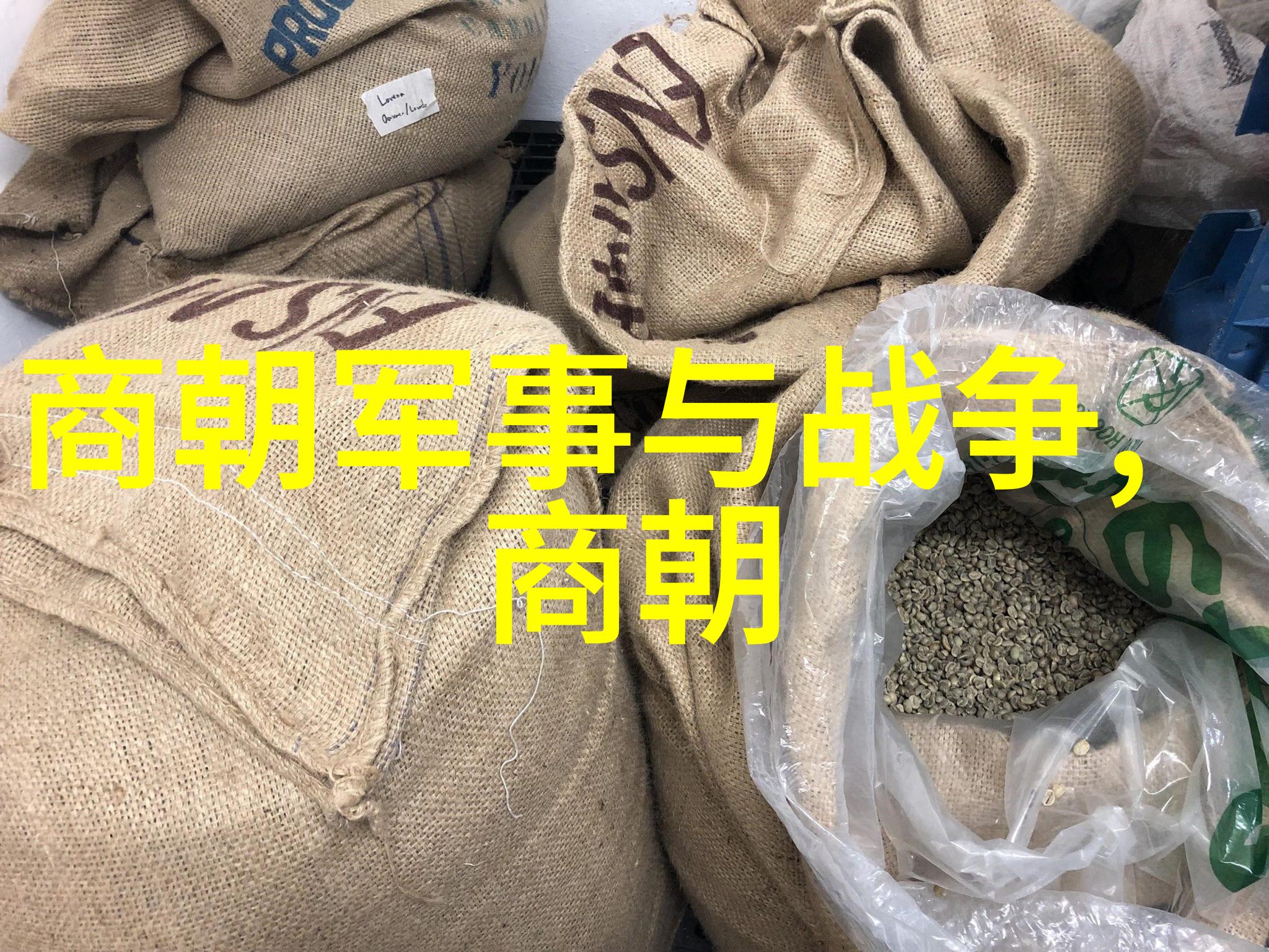 从黄帝到今朝历史长河绘诗章一口诀记千年变迁