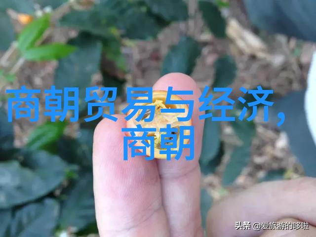 努尔哈赤清朝的奠基者与梦想征途