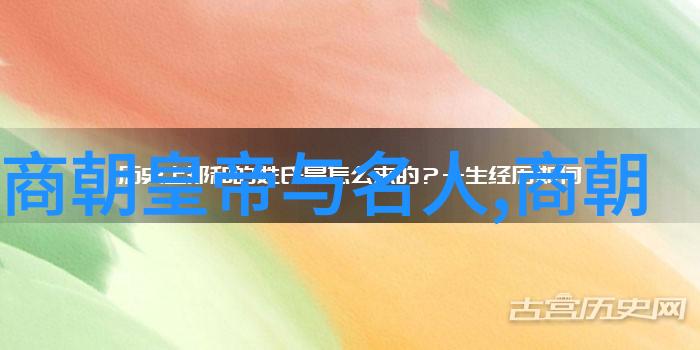 一口看完金朝历史-穿越千年一篇文章解读金朝兴衰