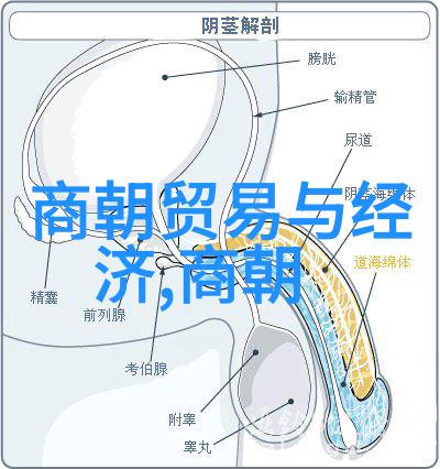 明朝那些事儿从繁华到衰败的奇幻历程