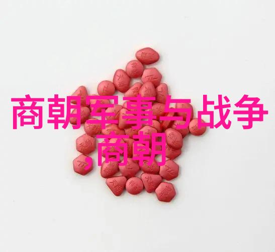 明朝简史殉葬制度背后的悲剧与荣耀