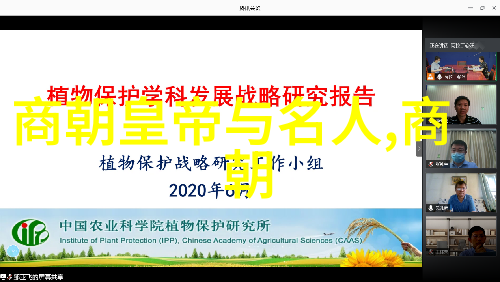 介绍影视艺术形式的PPT-探索银幕之美详解影视艺术形式