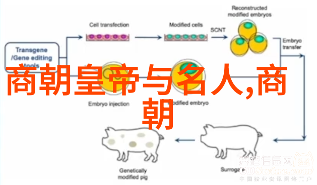 从神圣罗马帝国到统一后的德国一个历史的回顾