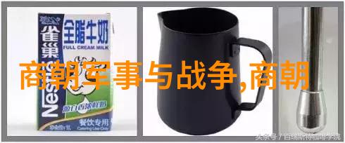 红楼梦中的贾史王薛四大家族反映了明代社会哪些面貌