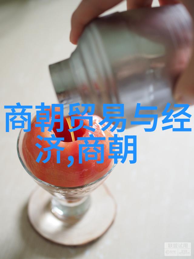 元朝贵族婚礼习俗繁复的仪式与厚重的家族责任