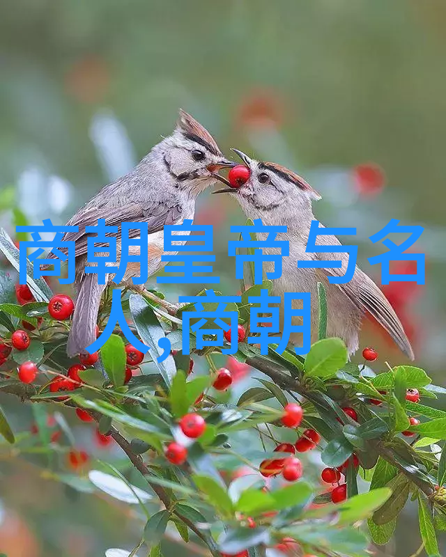 艺术与文化的交响从绘画到节日探索传统与现代的纽带