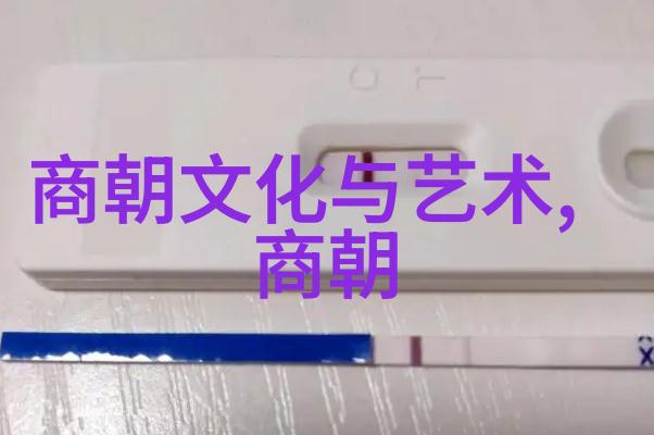 宋代风华政治文化与经济的繁荣篇章