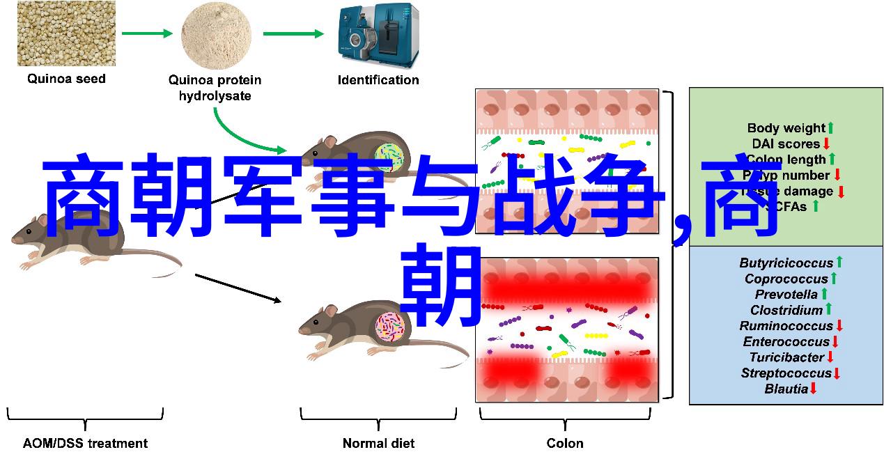 刘亦菲演绎的靖康之痛电视剧南宋中的历史悲剧