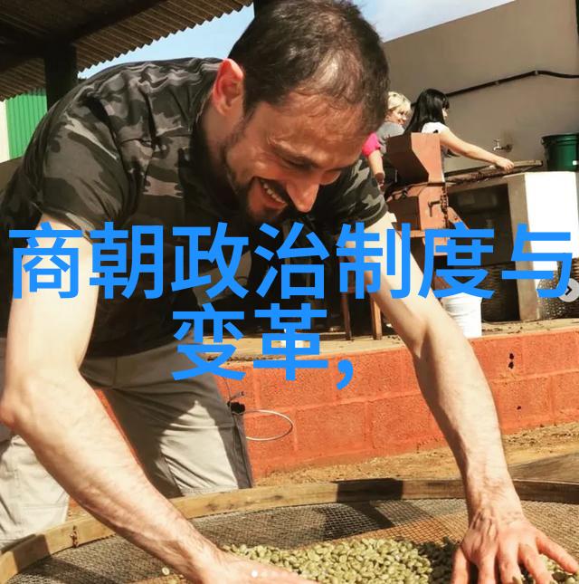 多尔衮失位之谜努尔哈赤的统治继承与帝国未来