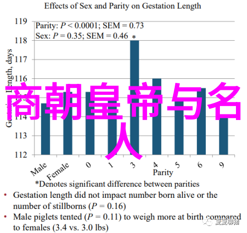 明朝历史图片探秘古代风貌的那些年