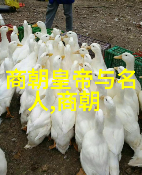 明末凋零锦衣卫之幻影与民间歌谣