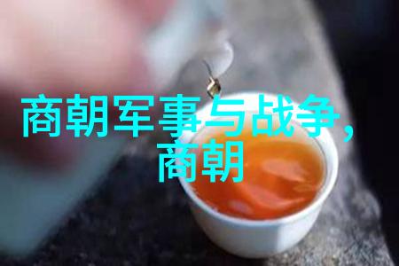 明朝皇帝朱元璋的治国理念