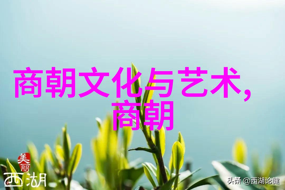 明朝最好帝王太宗朱祁镇的治世平定