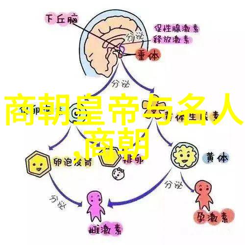 清朝官员的选拔与考核体系